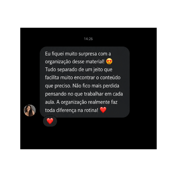 Depoimento de professora sobre a organização do material